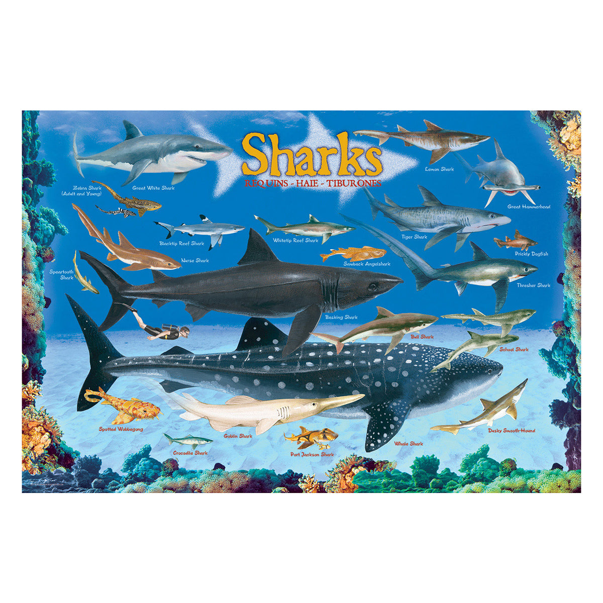 EuroGraphics Sharks 100-Piece Jigsaw Puzzle