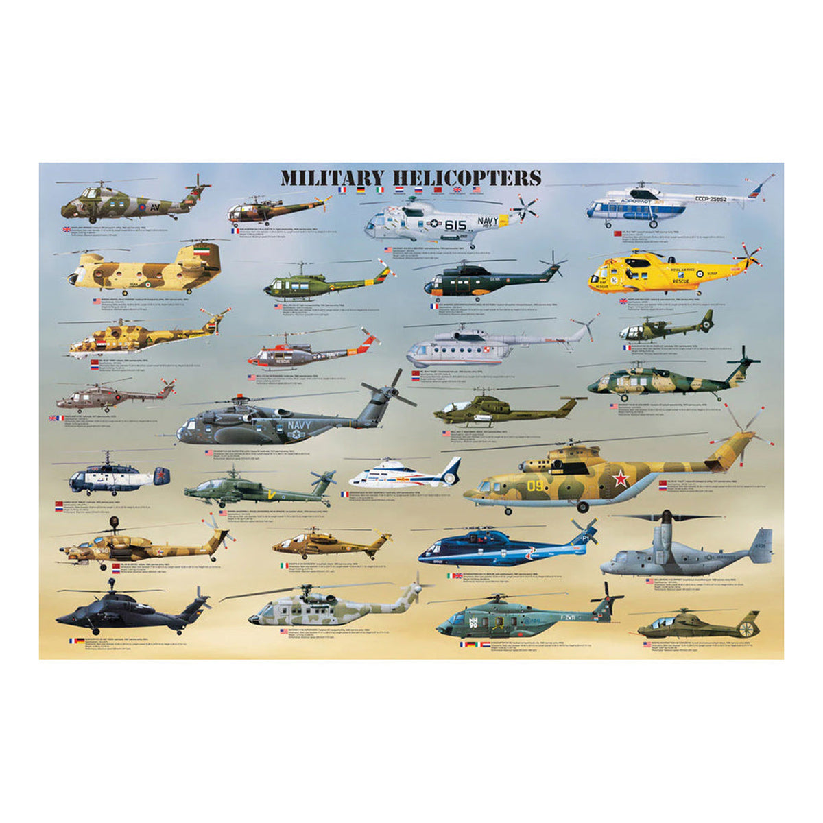 EuroGraphics Military Helicopters Poster - 36 x 24 in