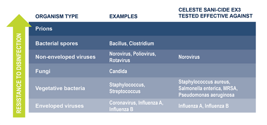 COVID-19 Product Update - Celeste Products