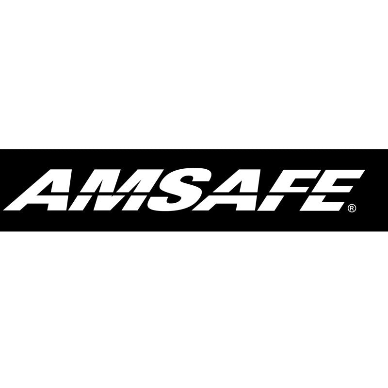 Am Safe Inc Logo
