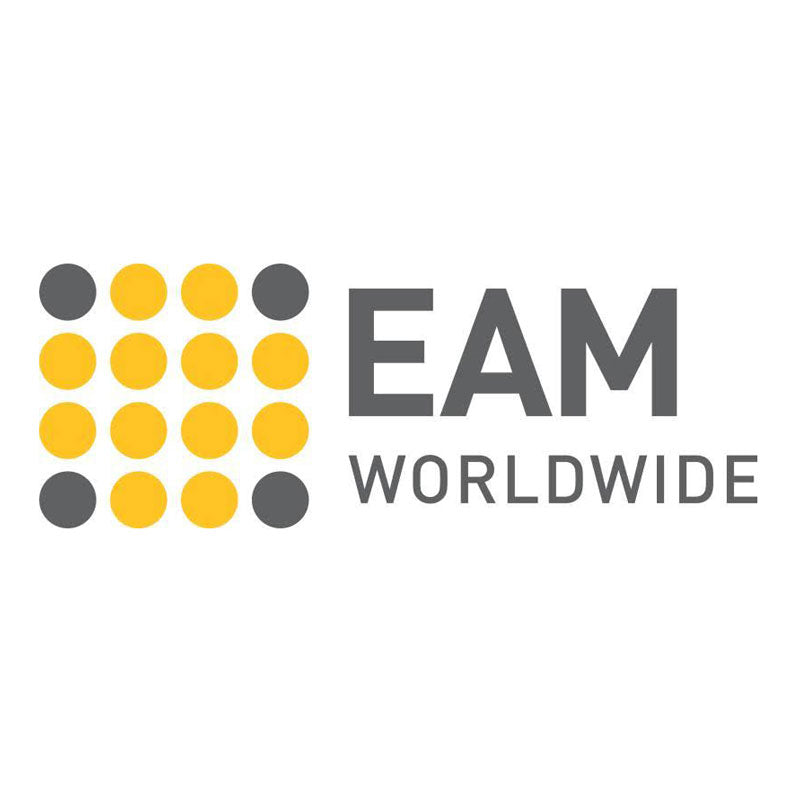 Eastern Aero Marine Logo
