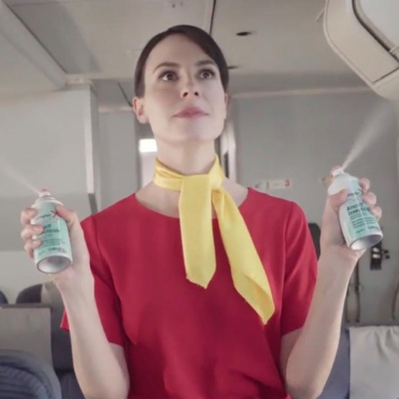 Aircraft cabin being treated for insects by a flight attendant