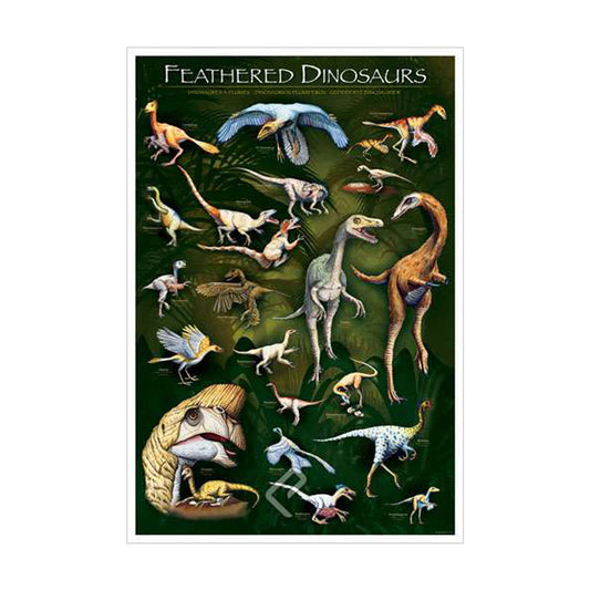 EuroGraphics Feathered Dinosaurs Poster