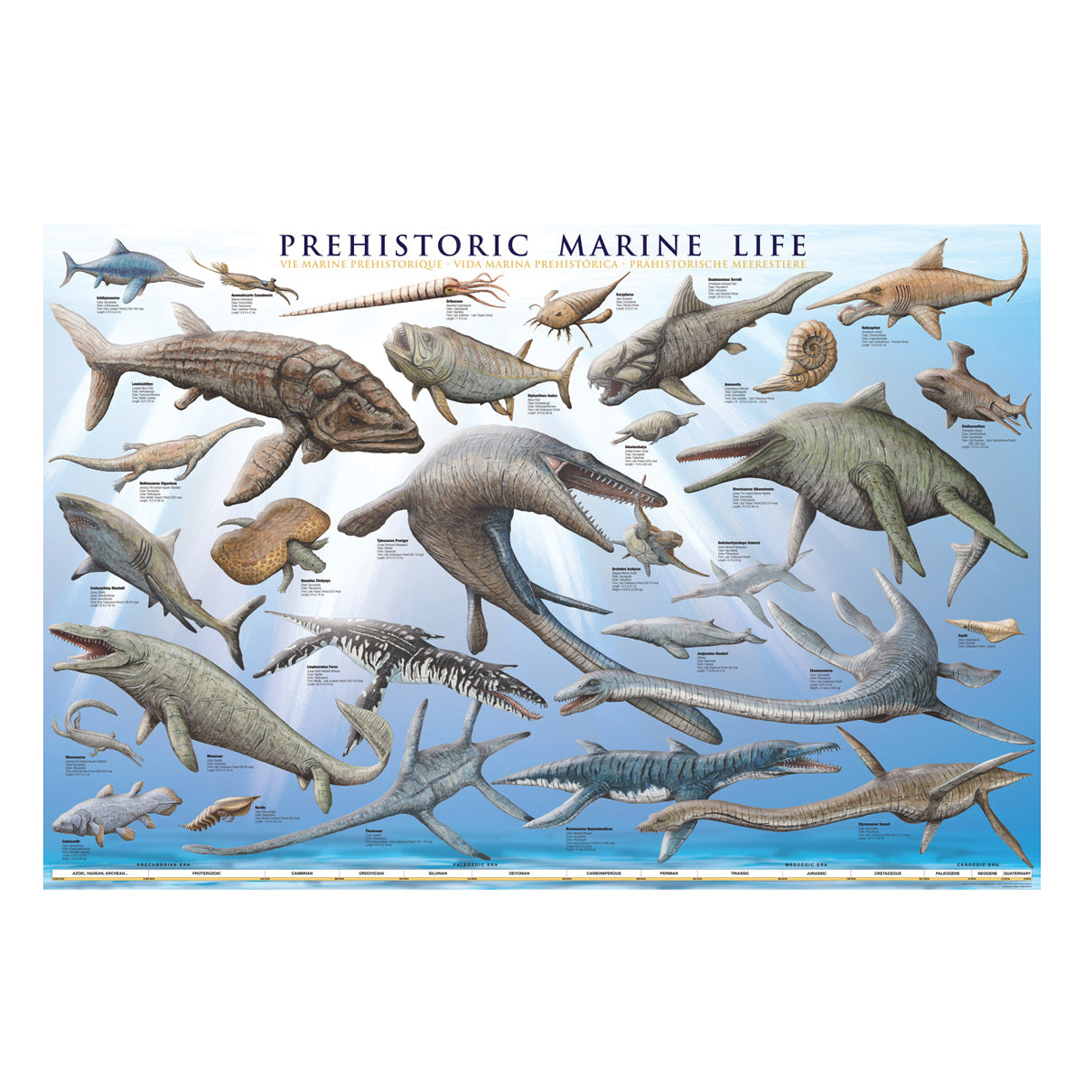EuroGraphics Prehistoric Marine Creatures Poster