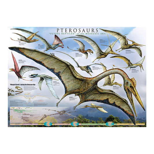 EuroGraphics Pterosaurs Poster