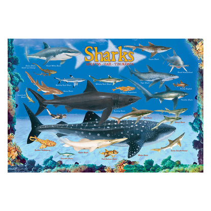EuroGraphics Sharks 100-Piece Jigsaw Puzzle