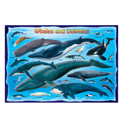 EuroGraphics Whales & Dolphins 100-Piece Jigsaw Puzzle