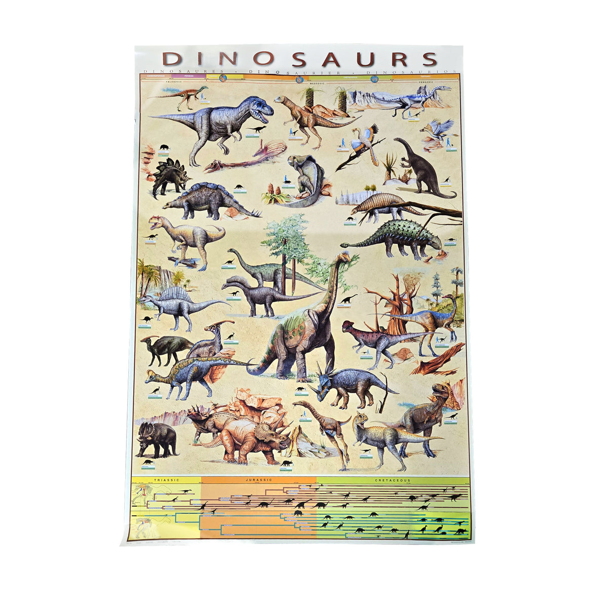 EuroGraphics Dinosaurs poster featuring illustrated dinosaur species, evolutionary tree, and human scale silhouettes