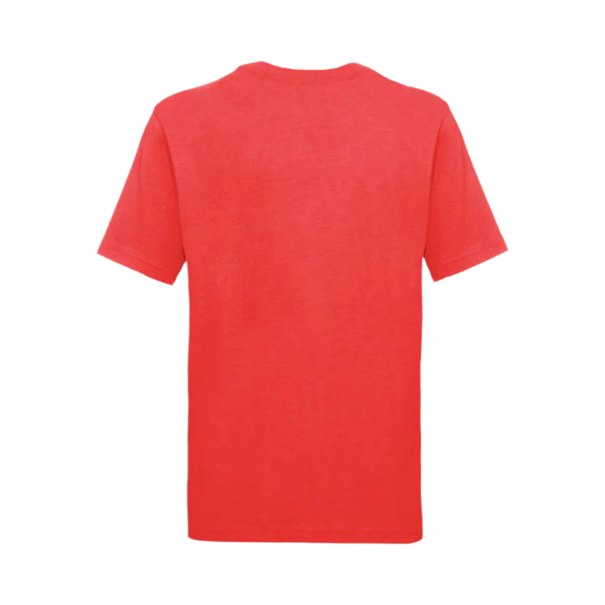 Next Level Youth Tri-Blend T-Shirt in Vintage Red – Back View