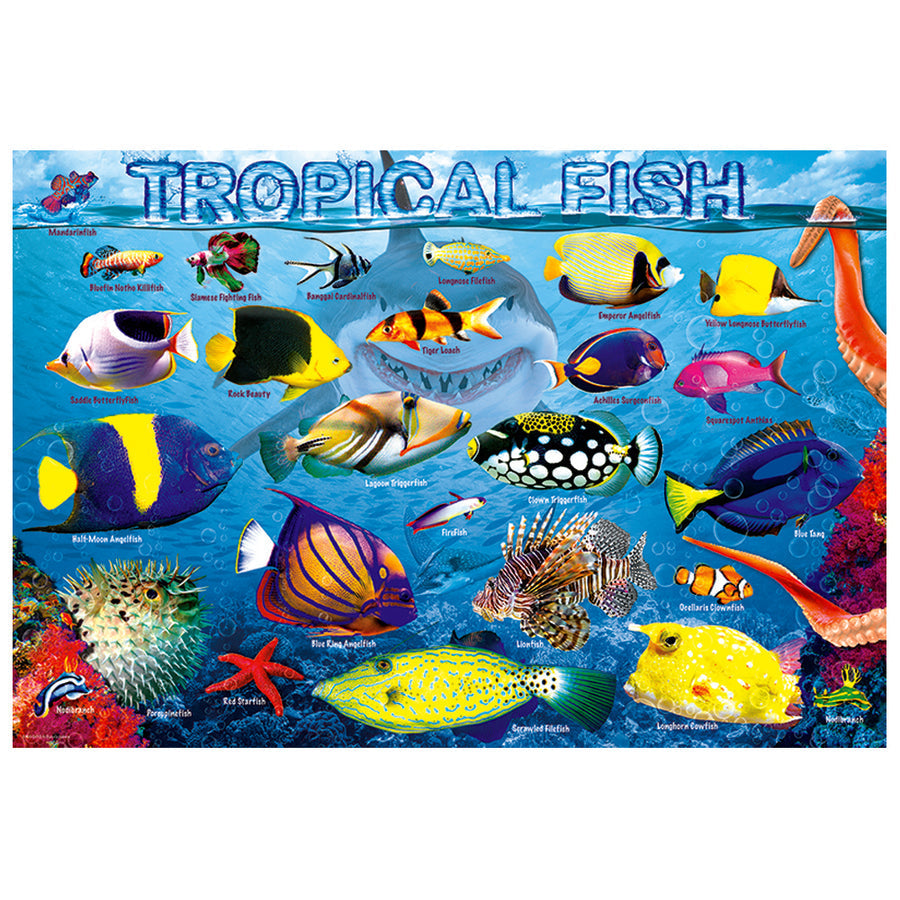 EuroGraphics Tropical Fish 100-piece jigsaw puzzle