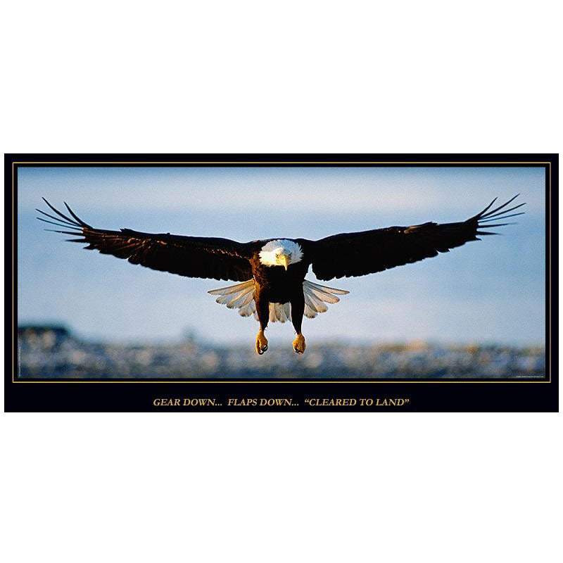 Aero Phoenix - Cleared to Land, Eagle Poster | B APX 100