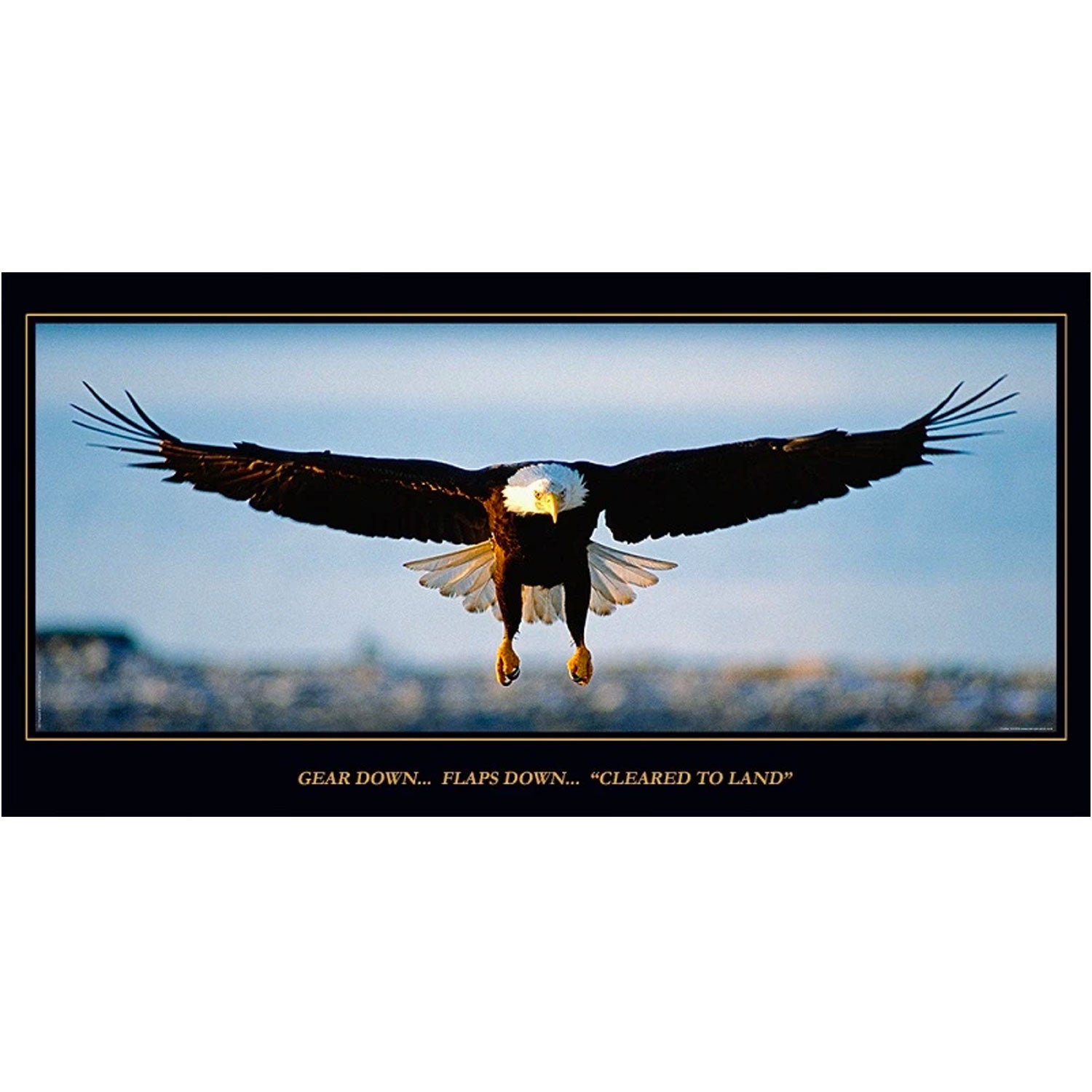 Aero Phoenix - Cleared to Land, Eagle Poster, Laminated